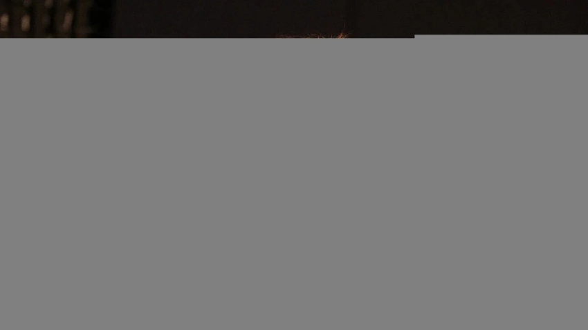 Легендарный стример Quinn рад, что не выступал на DreamLeague 27 по Dota 2